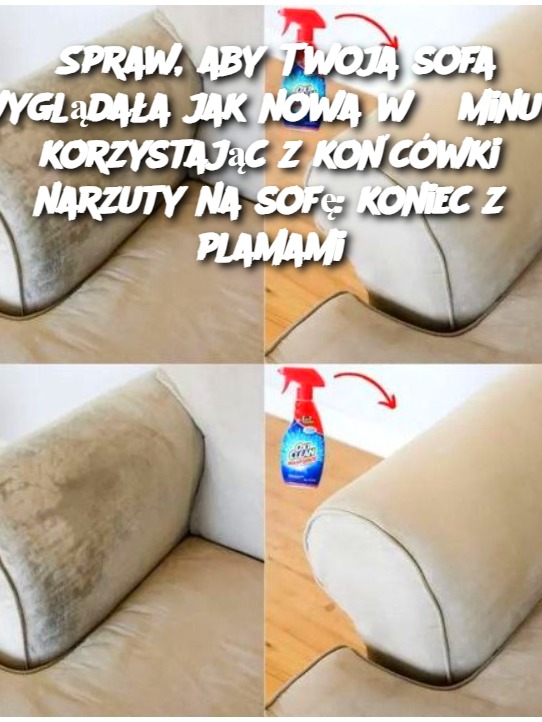 Spraw, aby Twoja sofa wyglądała jak nowa w 5 minut, korzystając z końcówki narzuty na sofę: koniec z plamami